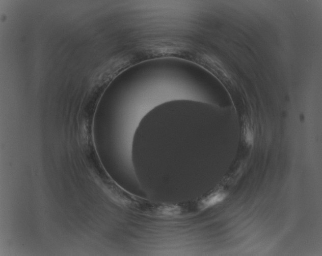 X0000071780410200606301225