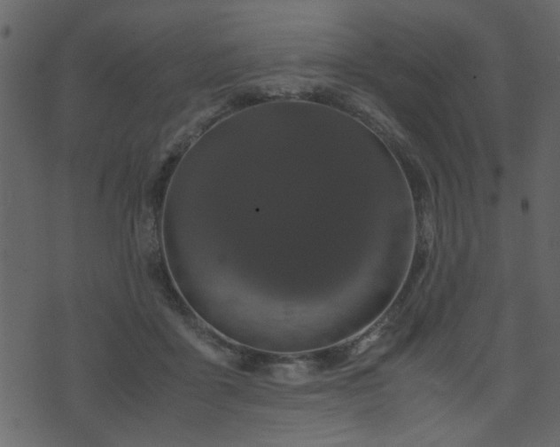 X0000071780411200606301225