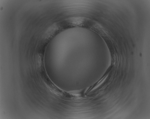 X0000071780412200606301225