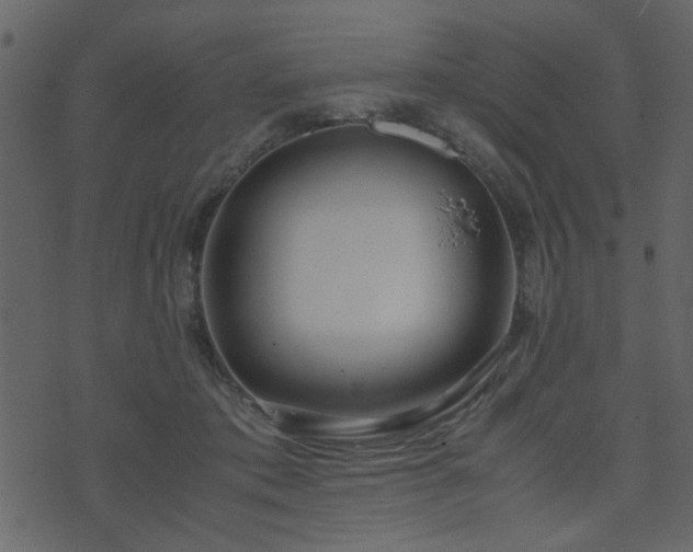 X0000071780413200606301225