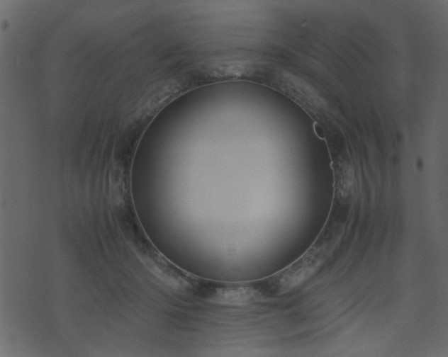 X0000071780414200606301225