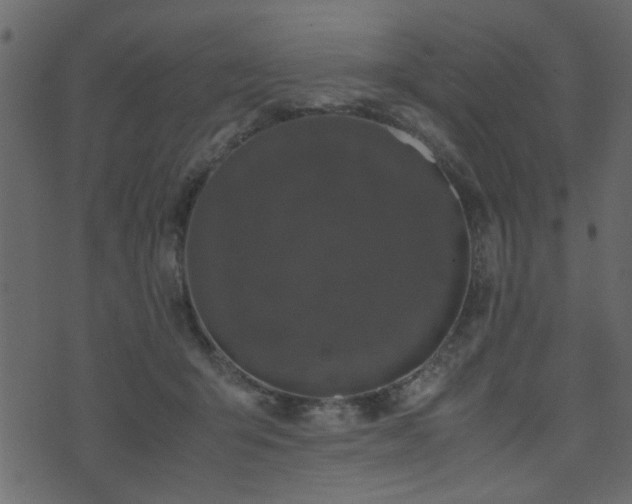 X0000071780415200606301225