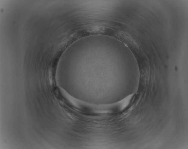 X0000071780416200606301225