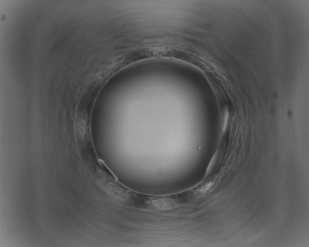 X0000071780417200606301225