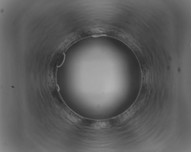 X0000071780418200606301225