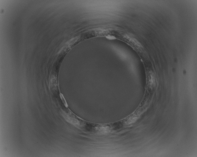 X0000071780419200606301225