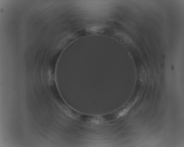 X0000071780420200606301225