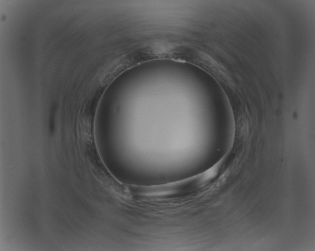 X0000071780421200606301225