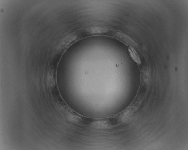 X0000071780422200606301225