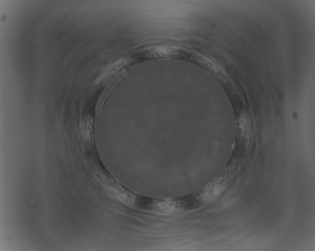 X0000071780423200606301225