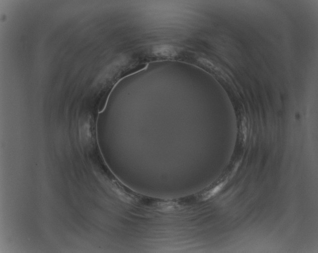 X0000071780424200606301225