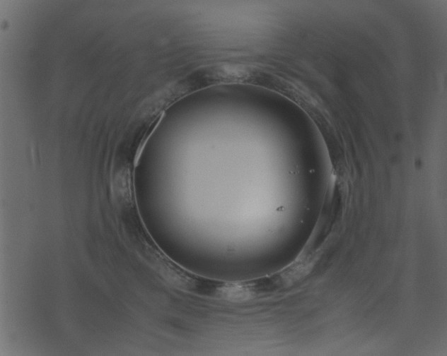 X0000071780425200606301225