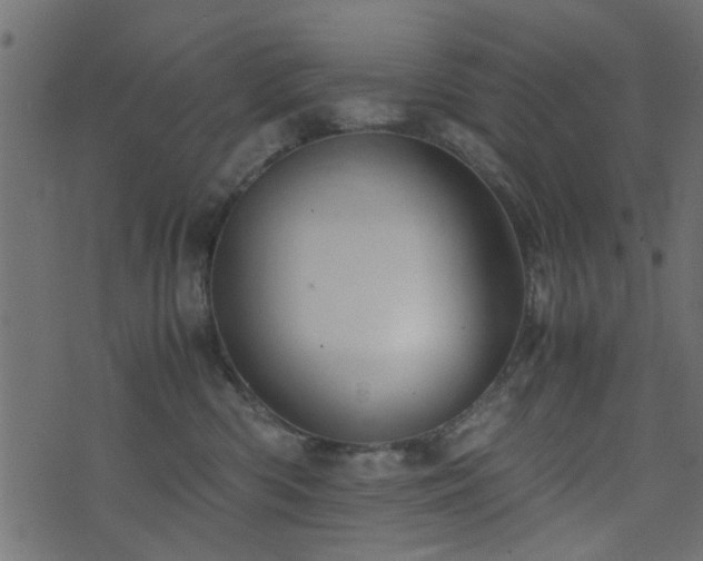 X0000071780426200606301225