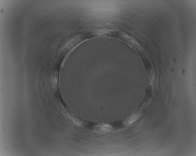 X0000071780427200606301225