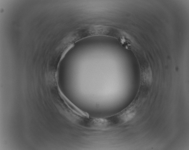 X0000071780429200606301225