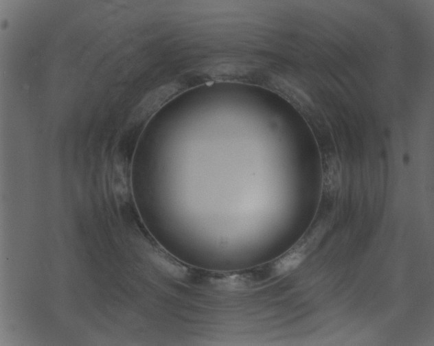 X0000071780430200606301225