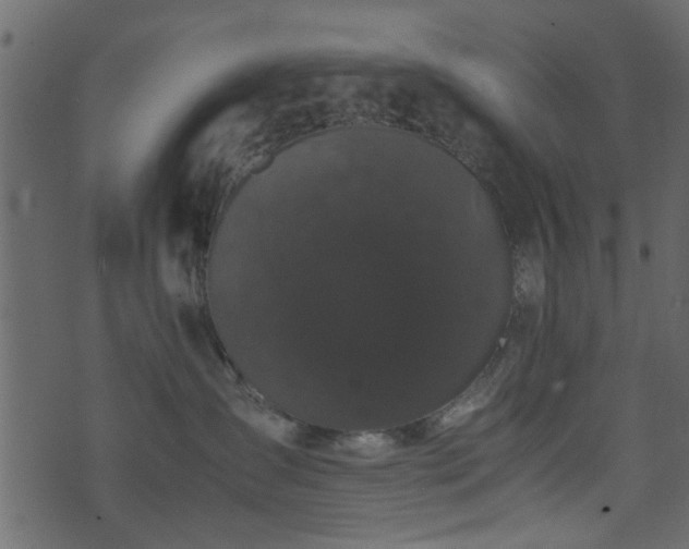 X0000071780431200606301225