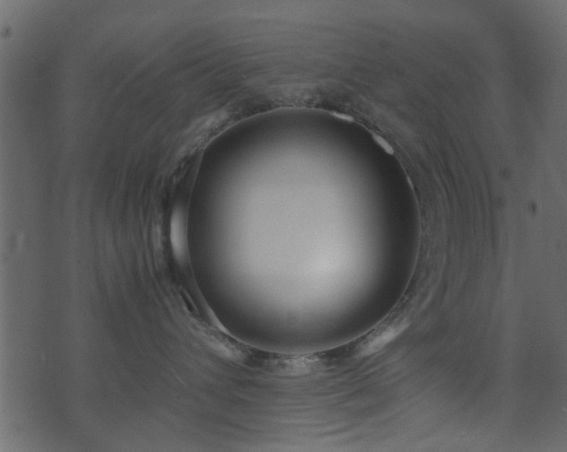 X0000071780432200606301225