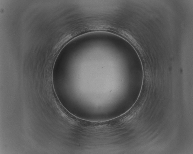 X0000071780433200606301224