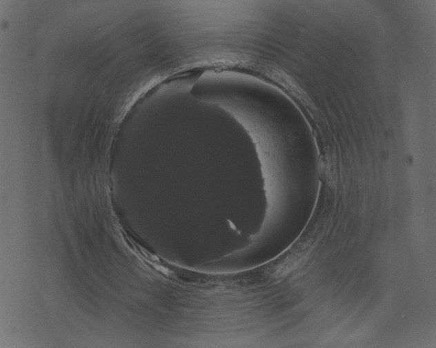 X0000071780434200606301224