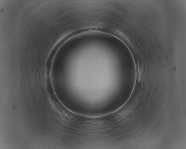 X0000071780435200606301224