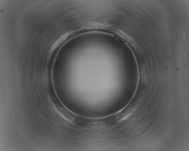 X0000071780436200606301224