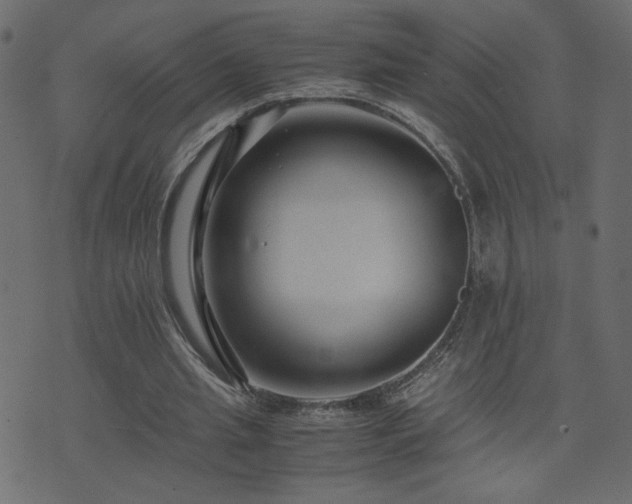 X0000071780437200606301224