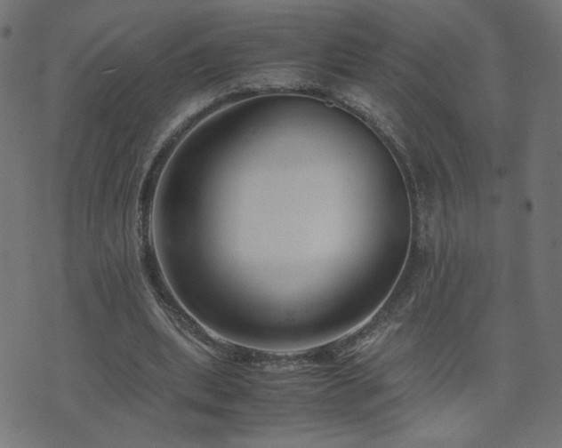 X0000071780439200606301224