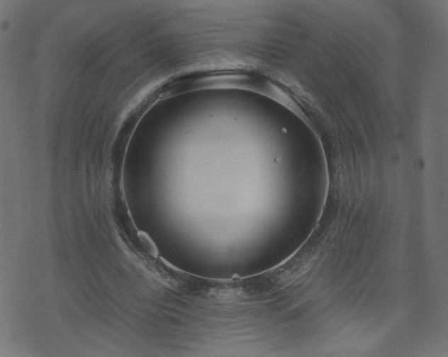 X0000071780440200606301224