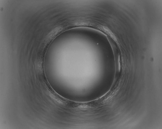 X0000071780441200606301224