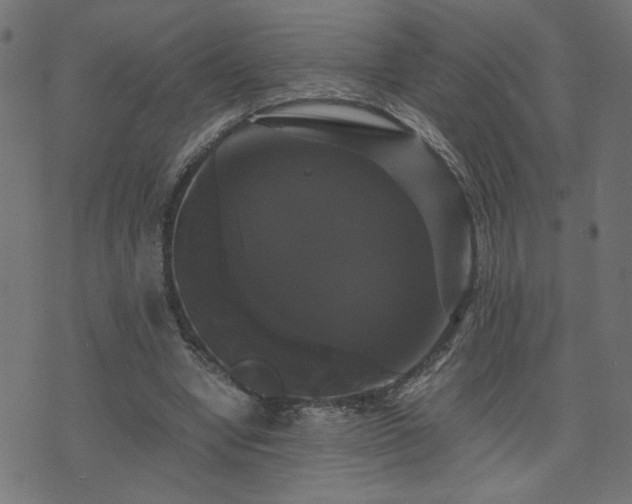 X0000071780442200606301224