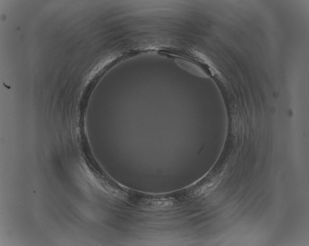 X0000071780443200606301224