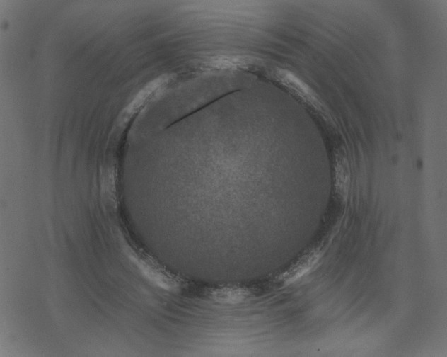 X0000071780444200606301224