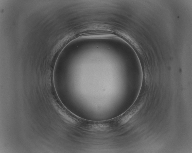 X0000071780445200606301224