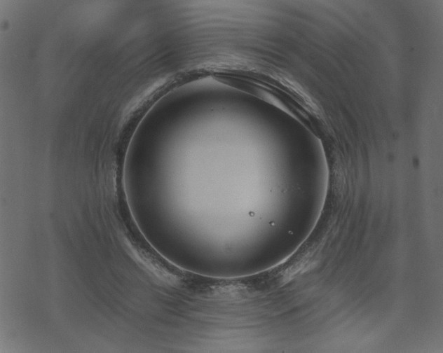 X0000071780446200606301224