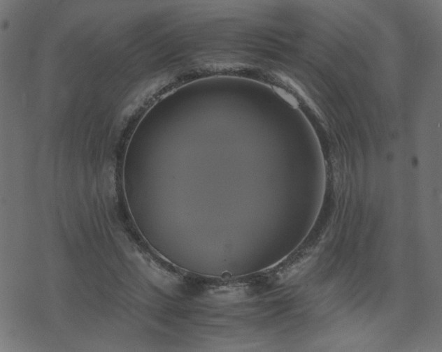 X0000071780447200606301224