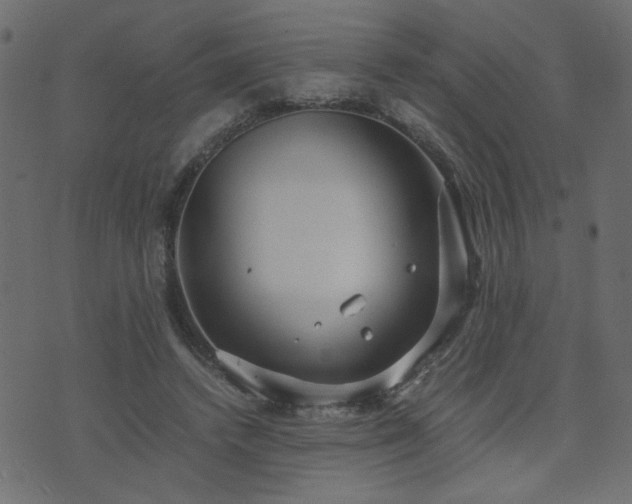 X0000071780448200606301224