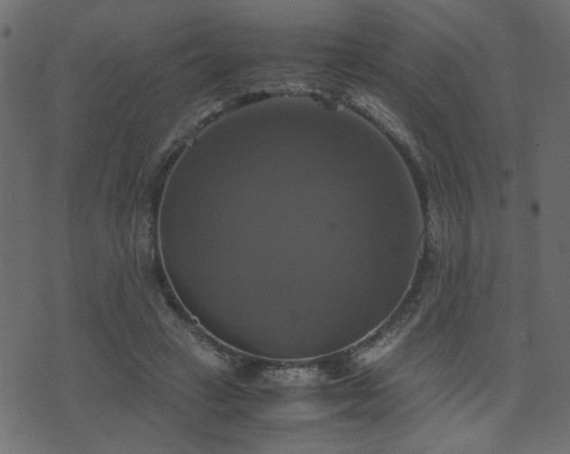 X0000071780449200606301224