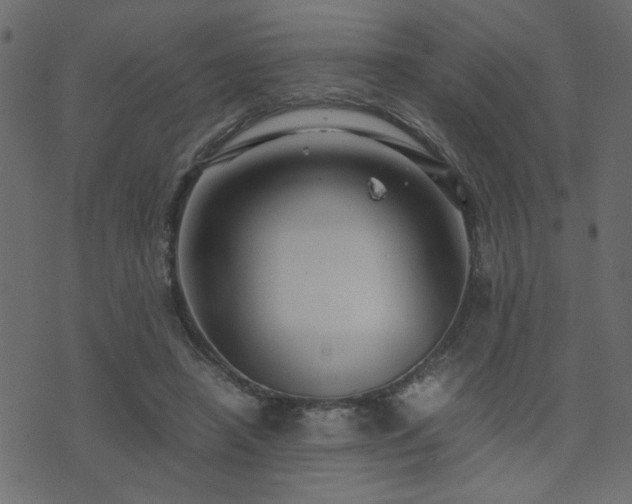 X0000071780450200606301224