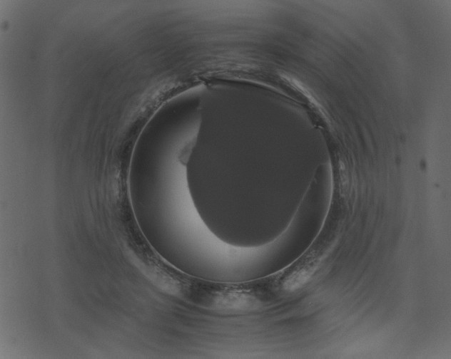 X0000071780451200606301224