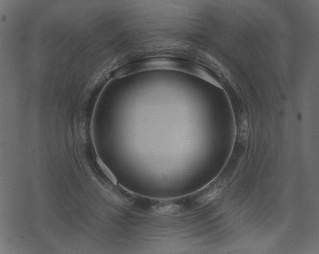 X0000071780452200606301224