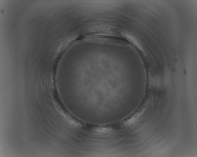 X0000071780453200606301224