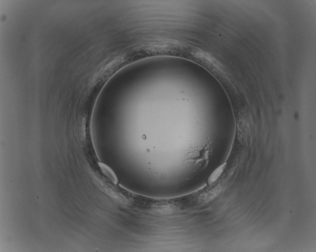 X0000071780454200606301224