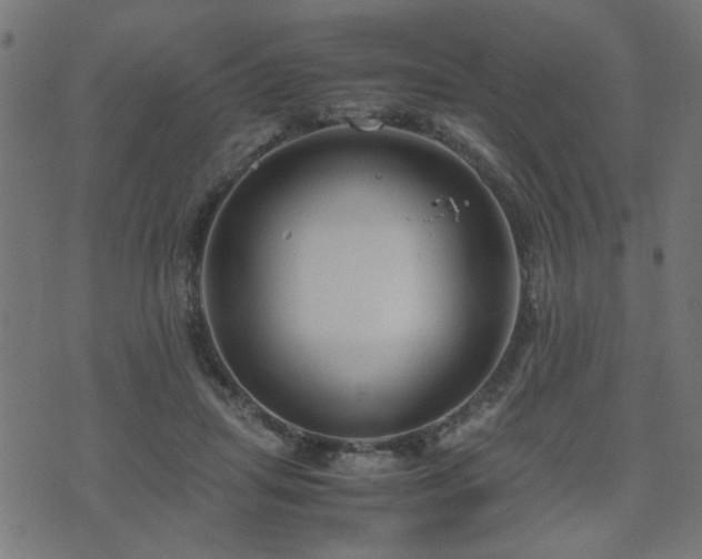 X0000071780455200606301224