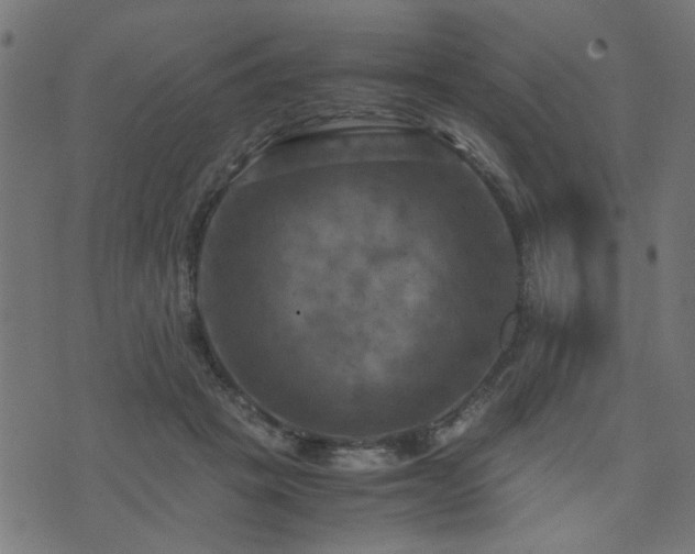 X0000071780457200606301224