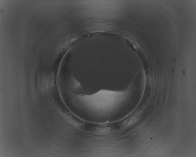 X0000071780458200606301224