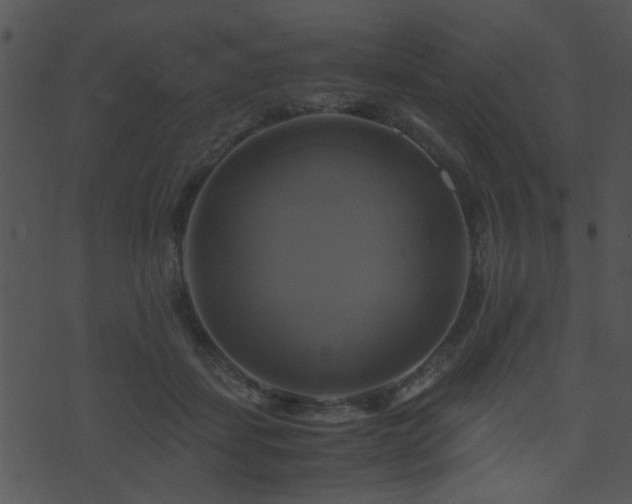 X0000071780459200606301224