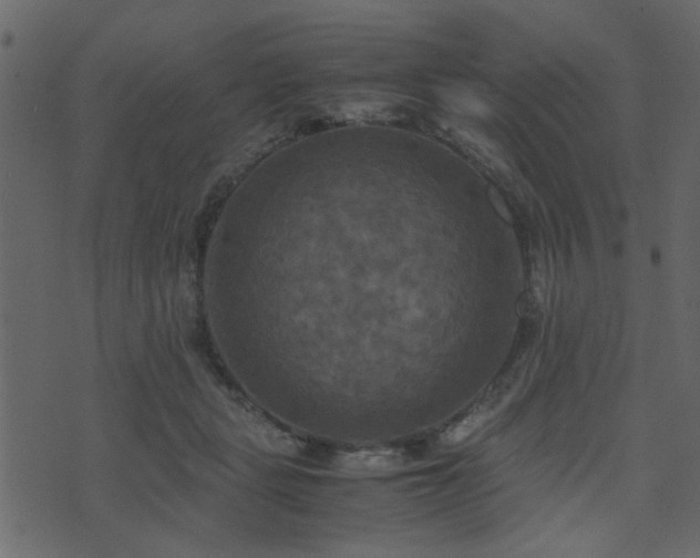 X0000071780461200606301224