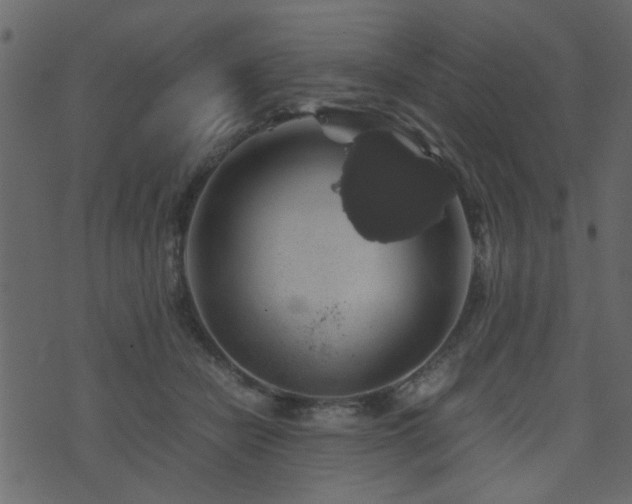 X0000071780462200606301224