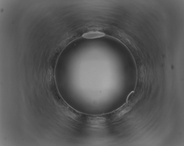 X0000071780463200606301224